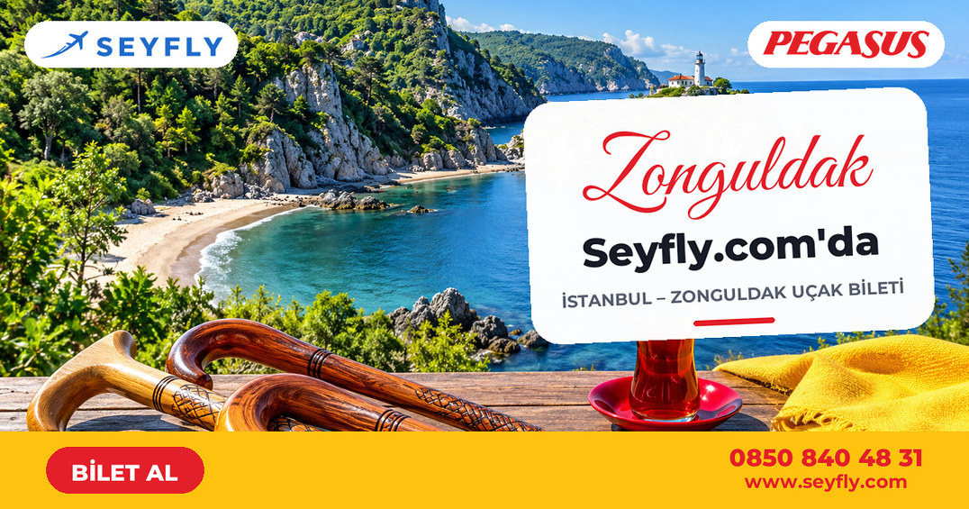 İstanbul - Zonguldak uçak bileti - Seyfly