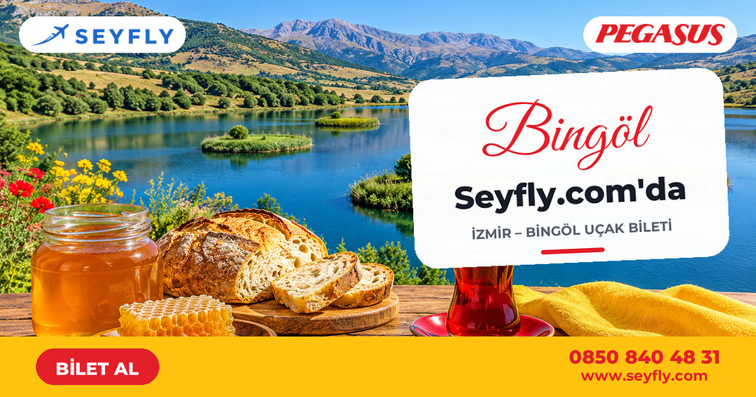 İzmir - Bingöl uçak bileti - Seyfly
