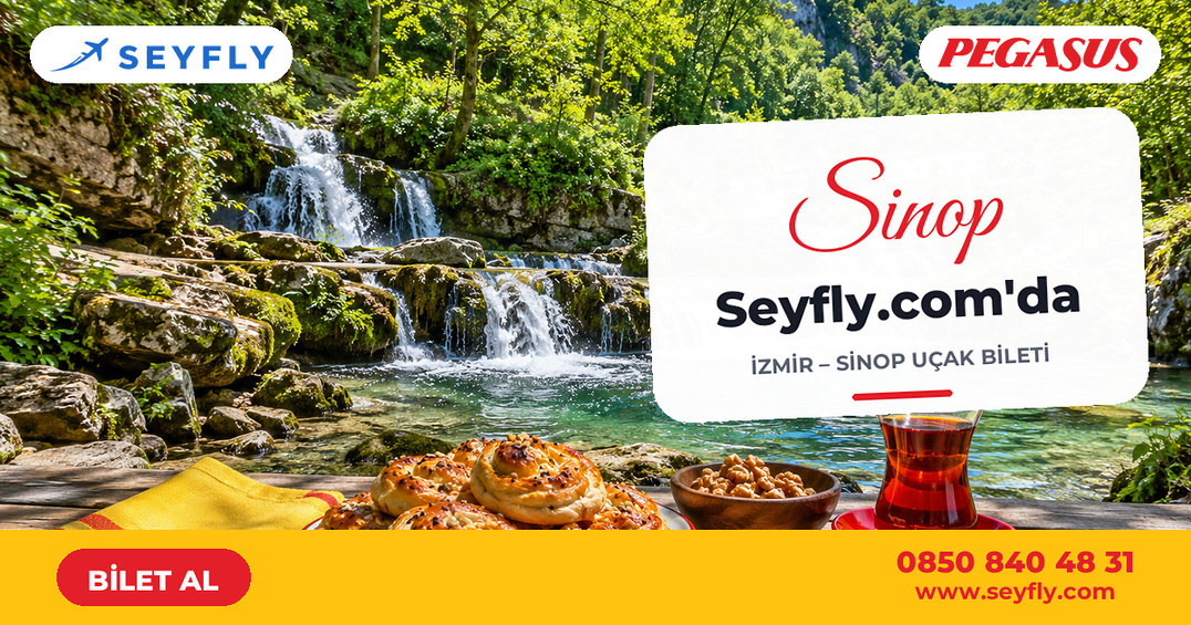 İzmir - Sinop uçak bileti - Seyfly