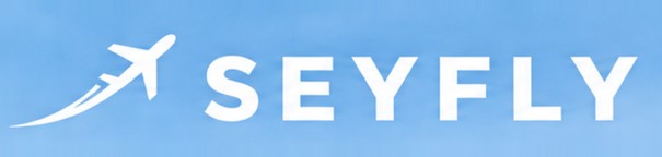 Seyfly Blog