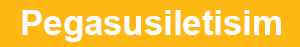 Seyfly Logo